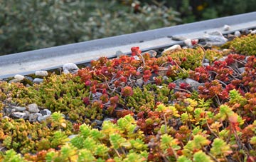 the cost of Ardheslaig green roof installation