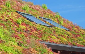 Ardheslaig living roof systems